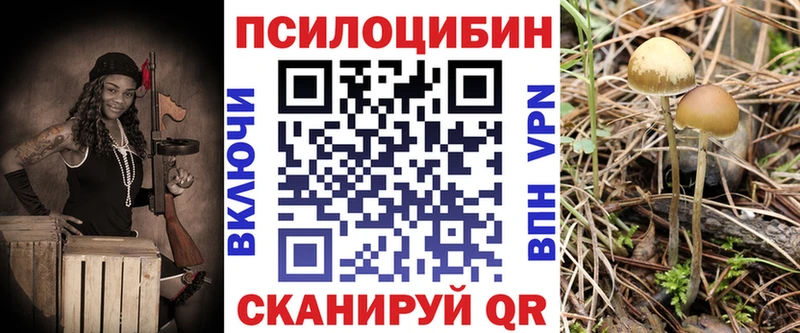 kraken ТОР  Лукоянов  Галлюциногенные грибы MAGIC MUSHROOMS 